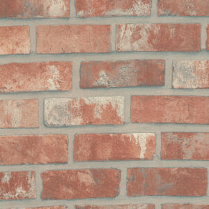 RED BRICKS W7