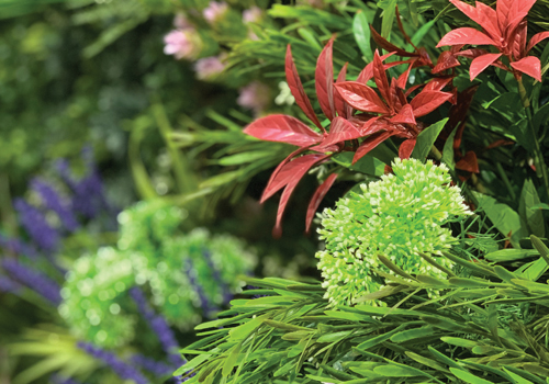 Image Library Vistafolia