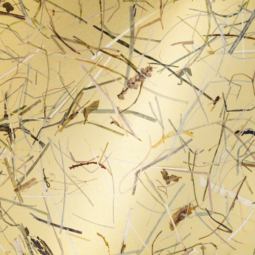 Organoids Products CTA Wildespitze Gold