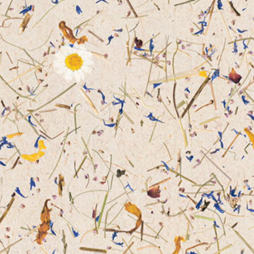 Organoids Almwiese Light