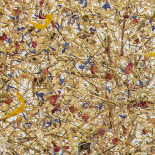 Organoids Bergwiese Medium