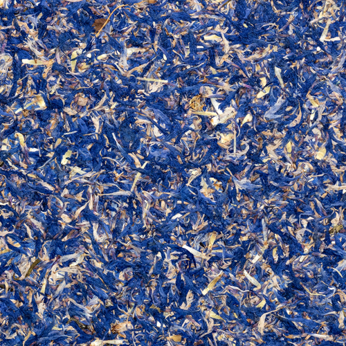 Organoids Kornblume Blau