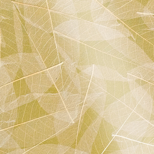 Organoids Skelettblatter Gold