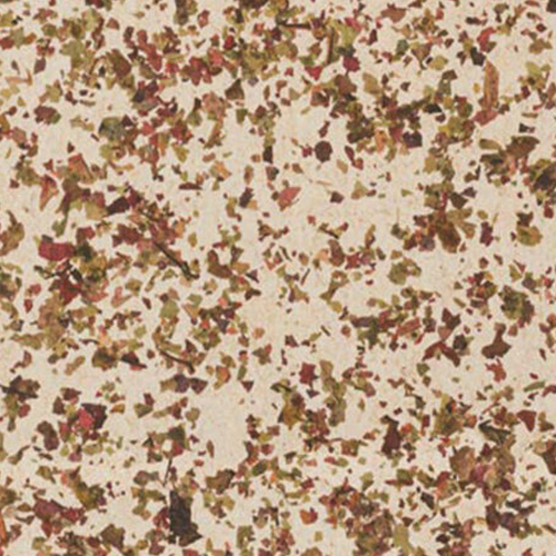 Organoids Weinblatter Medium