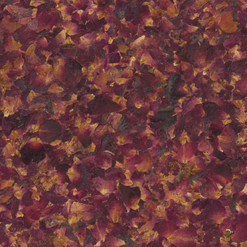 Rosenbluten CTA Image