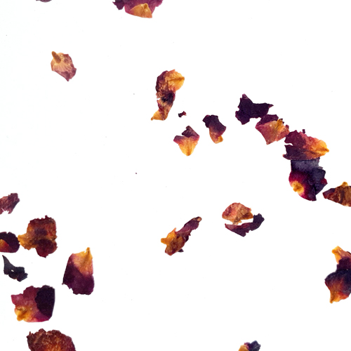 Rosenbluten Light CTA Image