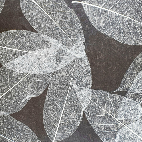 Skelettblatter Medium CTA Image