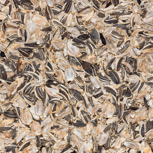 Sonnenblumen CTA Image