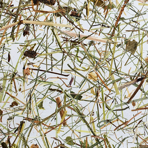 Wildspitze Medium CTA Image