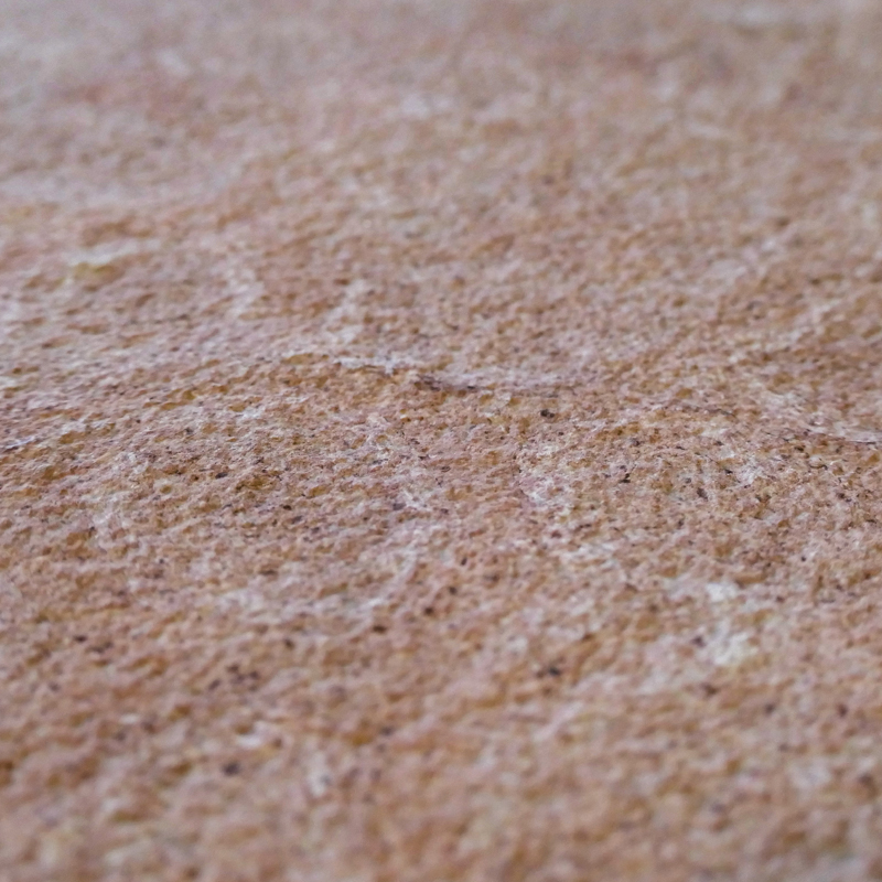 Marble Red Shell Image