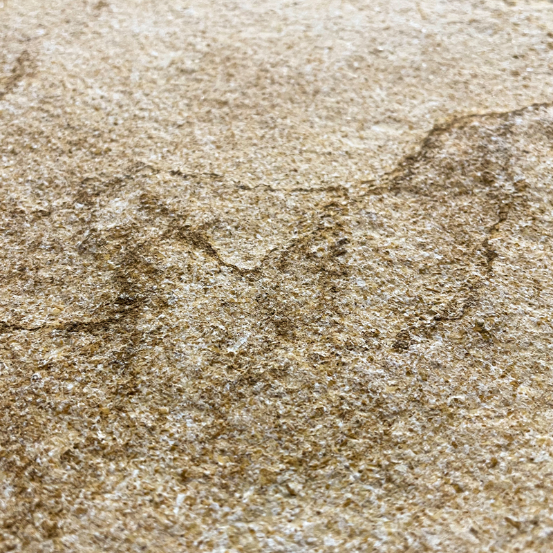 Marble Silvia Wild Image