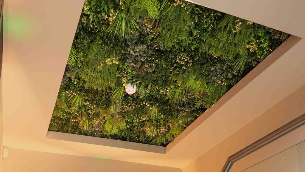 Ashcroft Development Featured Image