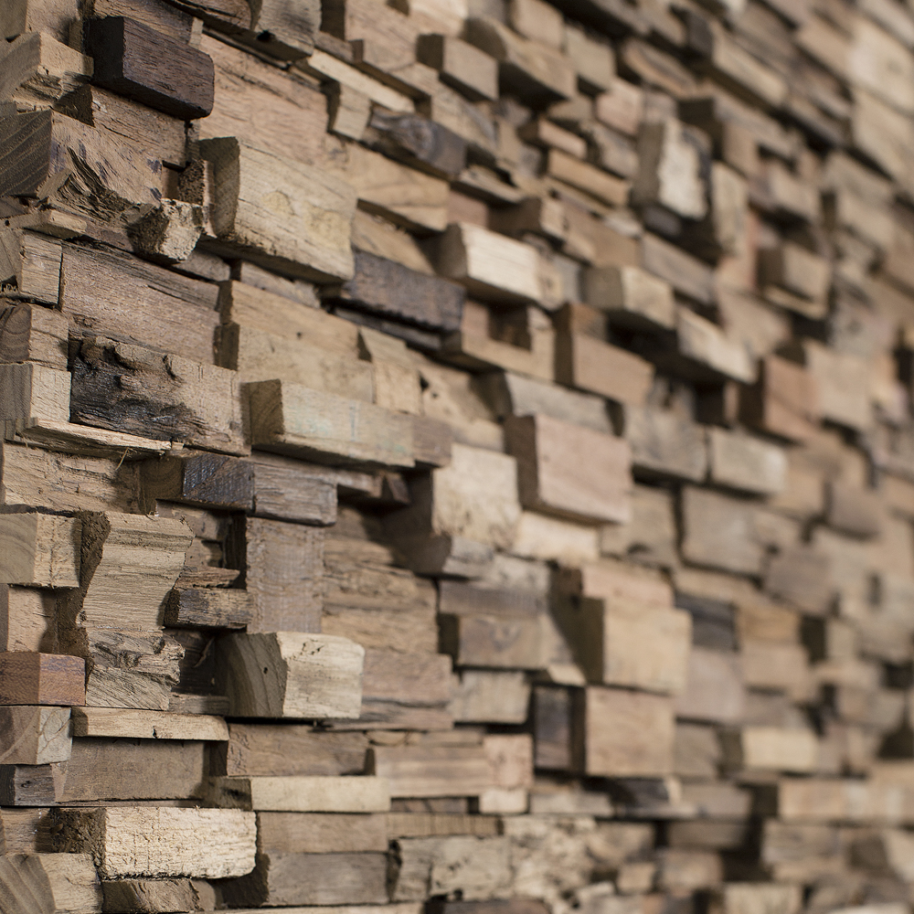 Wonderwall Studios Derelict House Days