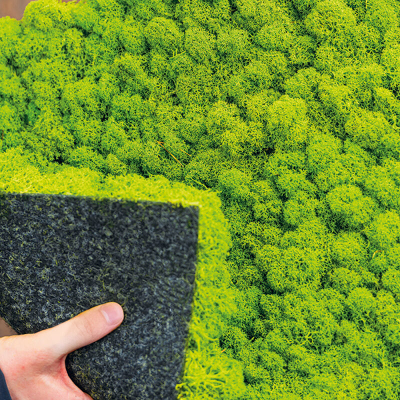 Evergreen Moss Flex