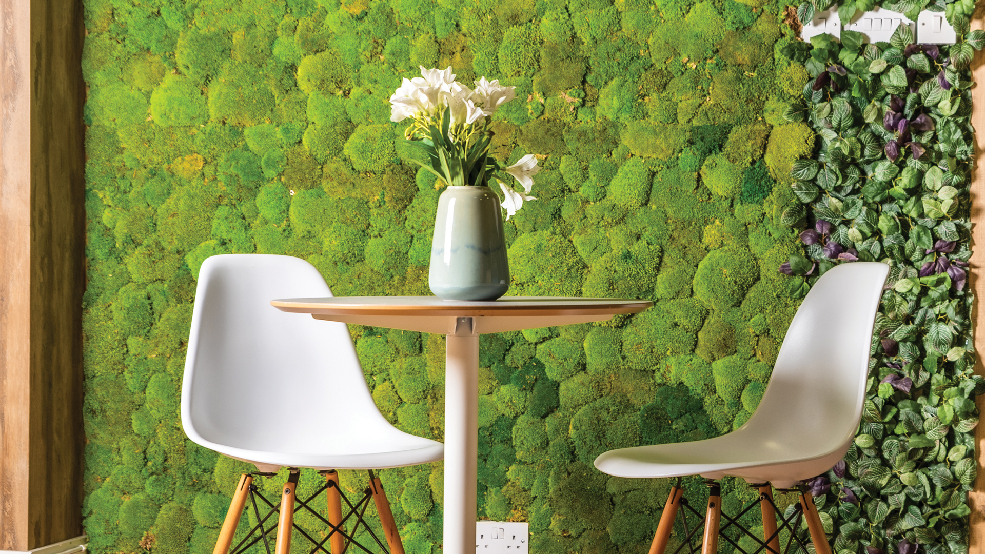 Evergreen Moss Flex Featured Image