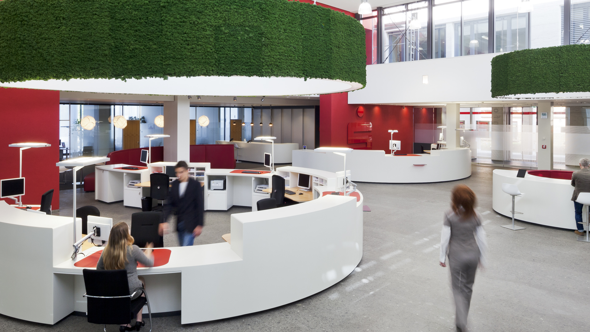 Evergreen Moss Standard Featured Image