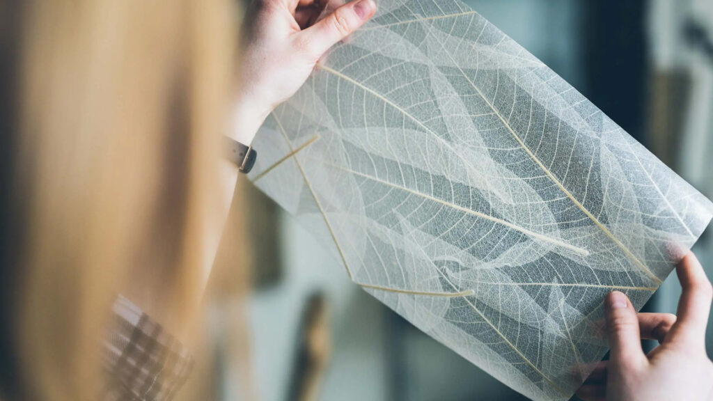 Self Adhesive Translucent Featured Image