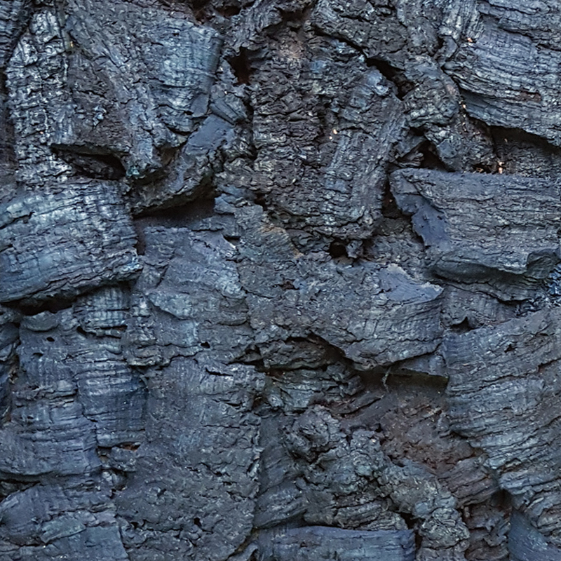 Rusticork Bark Bluemoon