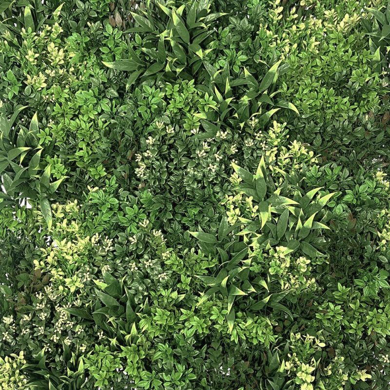 Vistafolia Featured Image 2