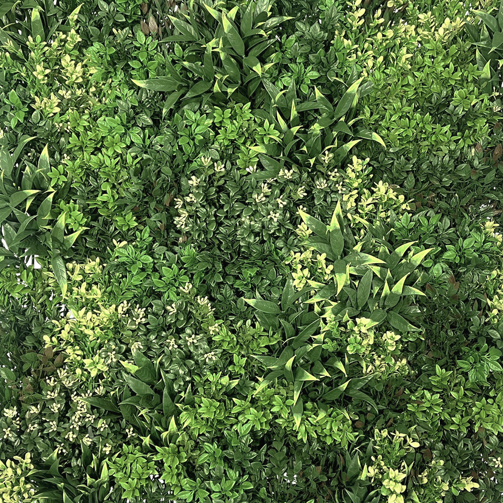 Vistafolia Featured Image 2