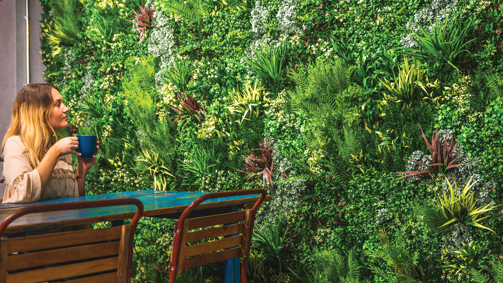 Vistafolia Featured Image