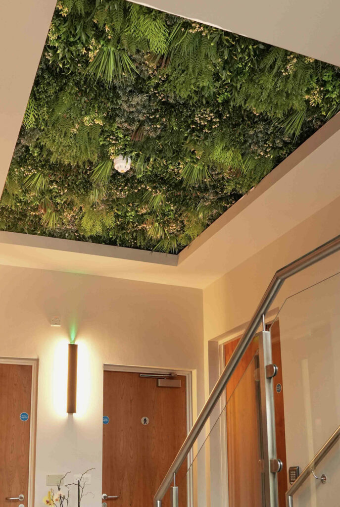 Ashcroft Homepage Image