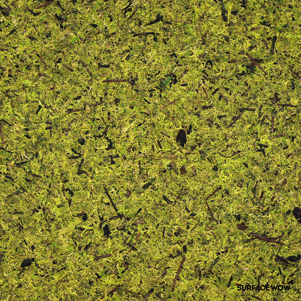 Moss Light Green Featured Image