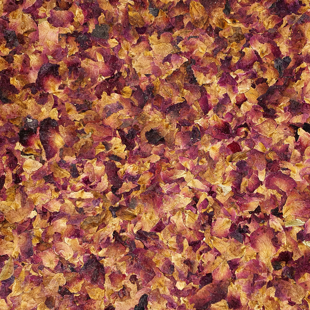 Rose Petals Featured Image