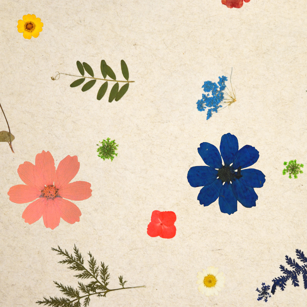 Superbloom Featured Image