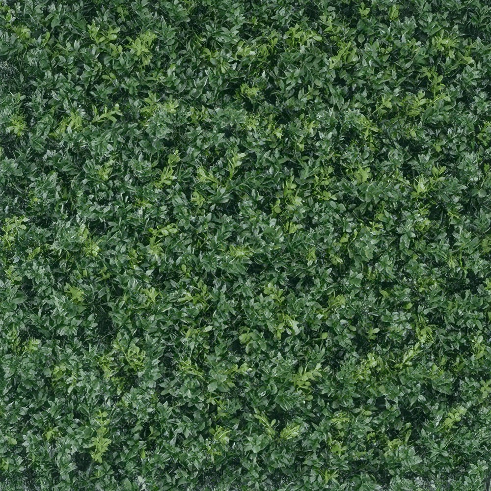 Luxury Boxwood Panel Featured Image