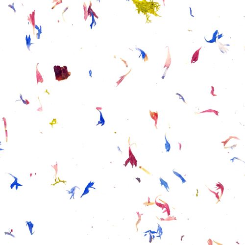 Blutenpracht Light CTA Image