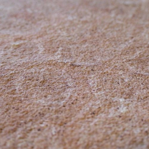 Marble Red Shell Image