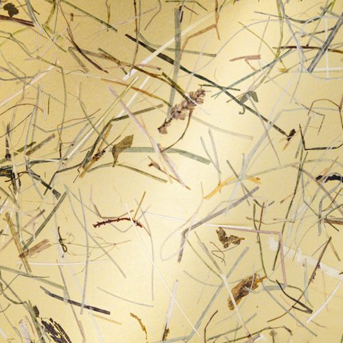 Organoids Products CTA Wildespitze Gold