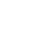 PDF Icon