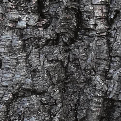 Rusticork Bark Black
