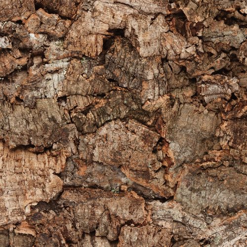 Rusticork Bark