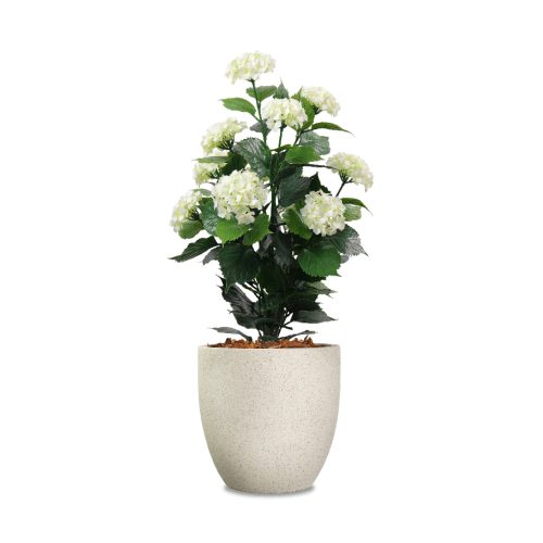 White Hydrangea Product Image