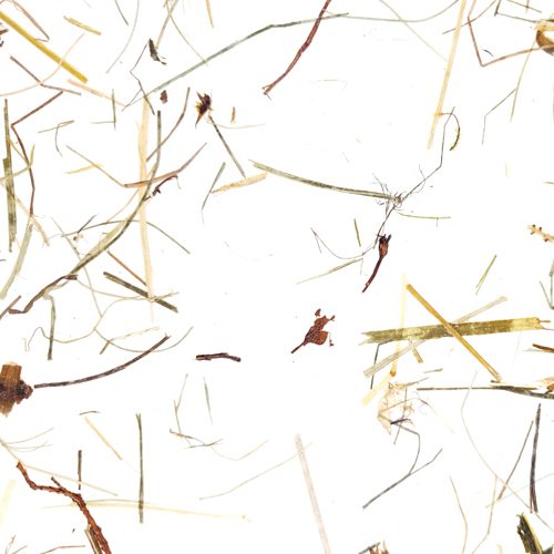 Wildspitze Light CTA Image