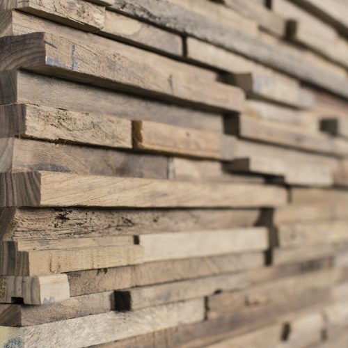 Wonderwall Studios Mixed Salvage Parker