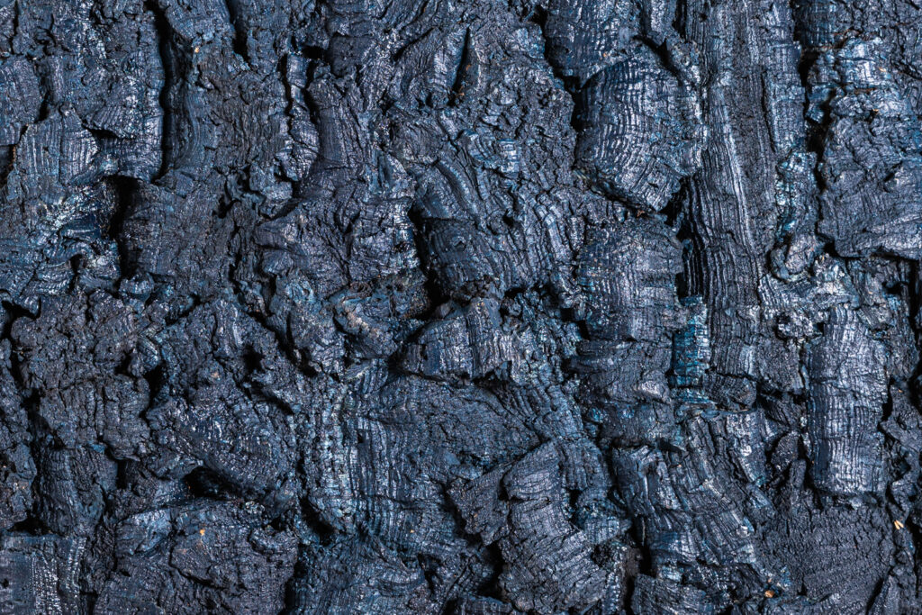 Rusticork Bark Bluemoon Image