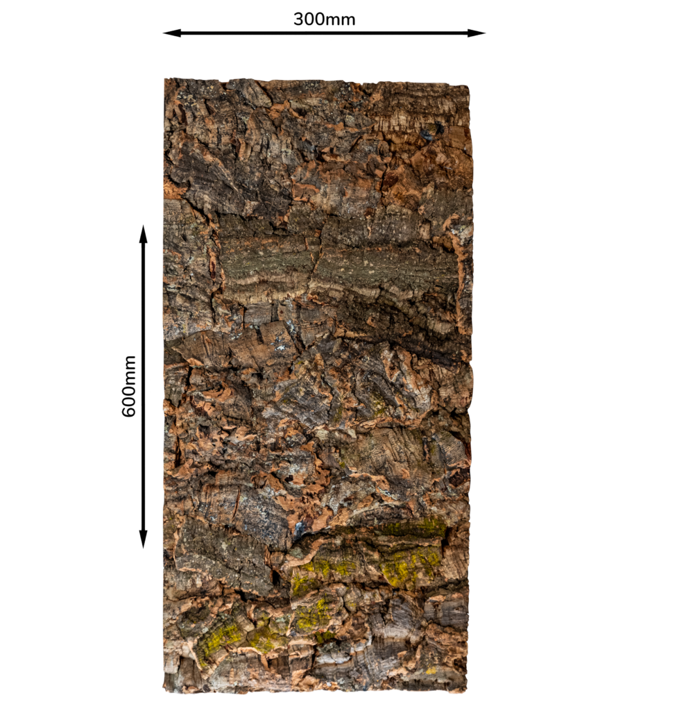 Rustic Bark Tech Image