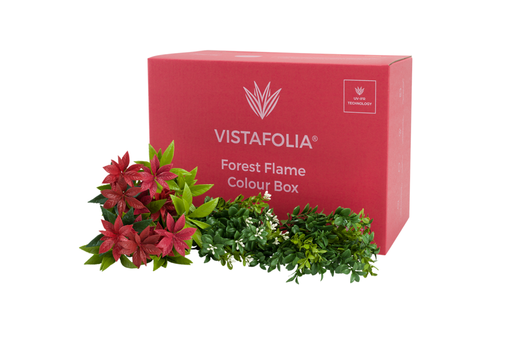 Vistafolia Colour Box