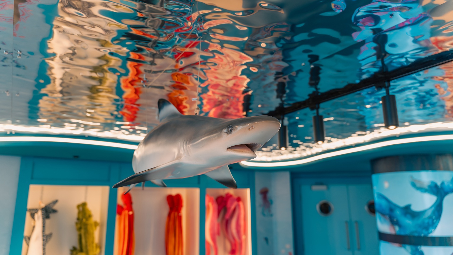 Bray Aquarium Featured Image