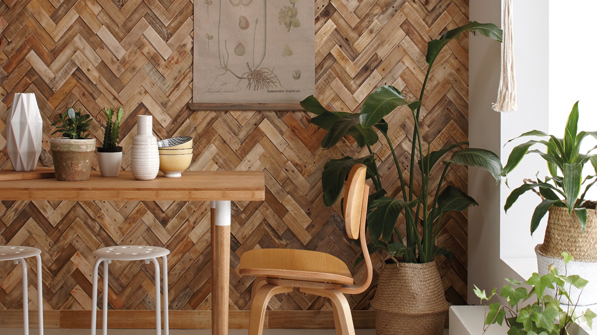 Wonderwall Studios Salvaged Pine Featured Image