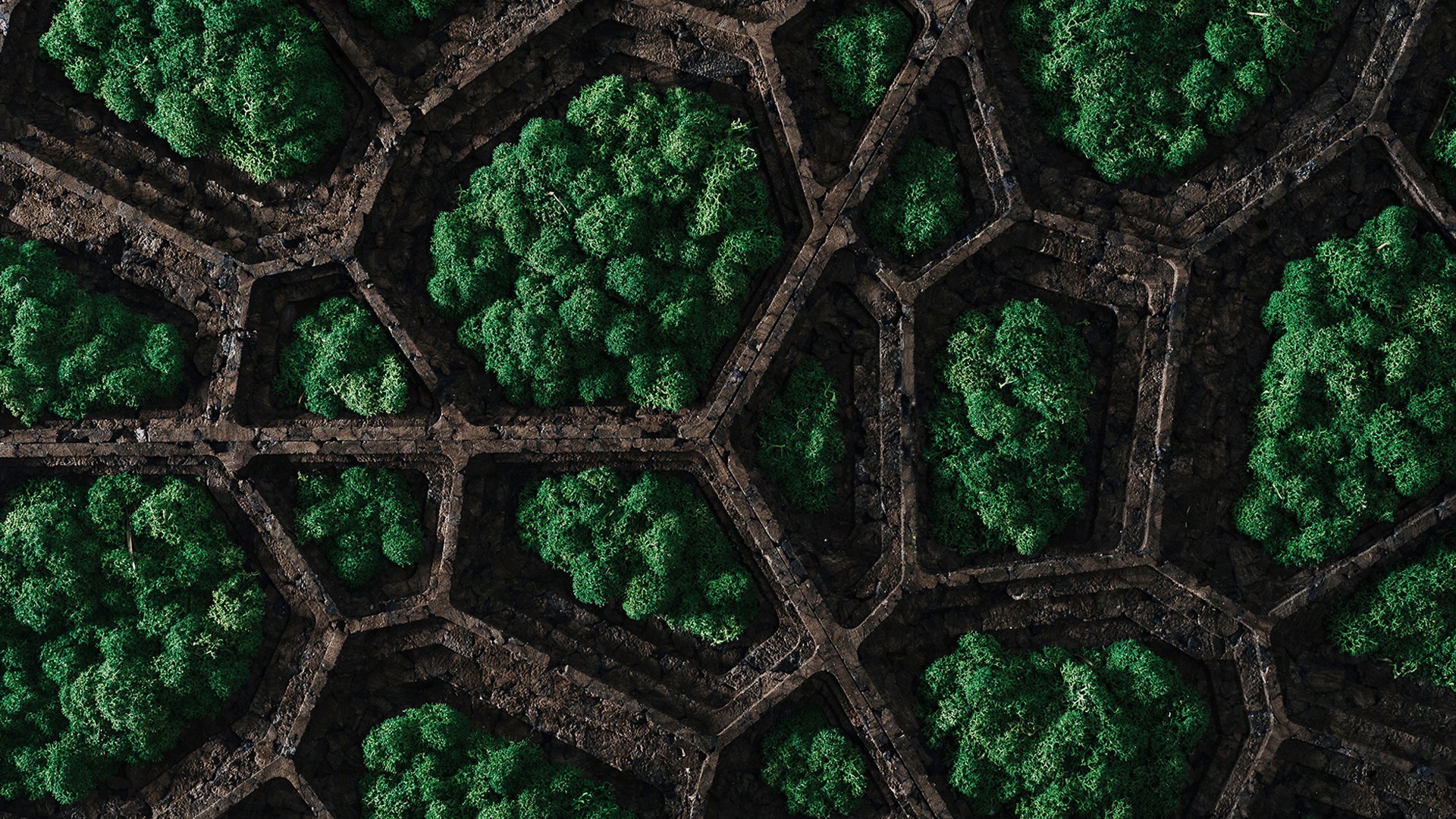 Corkvor Header Image