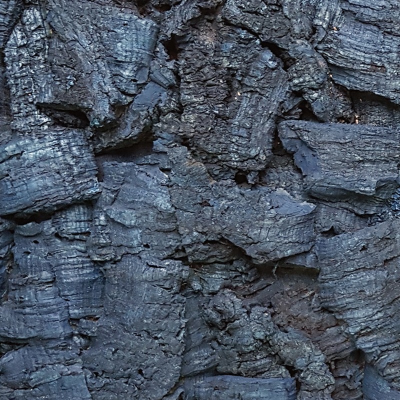 Rusticork Bark Bluemoon