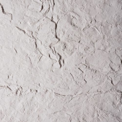 Skye Oyster Image