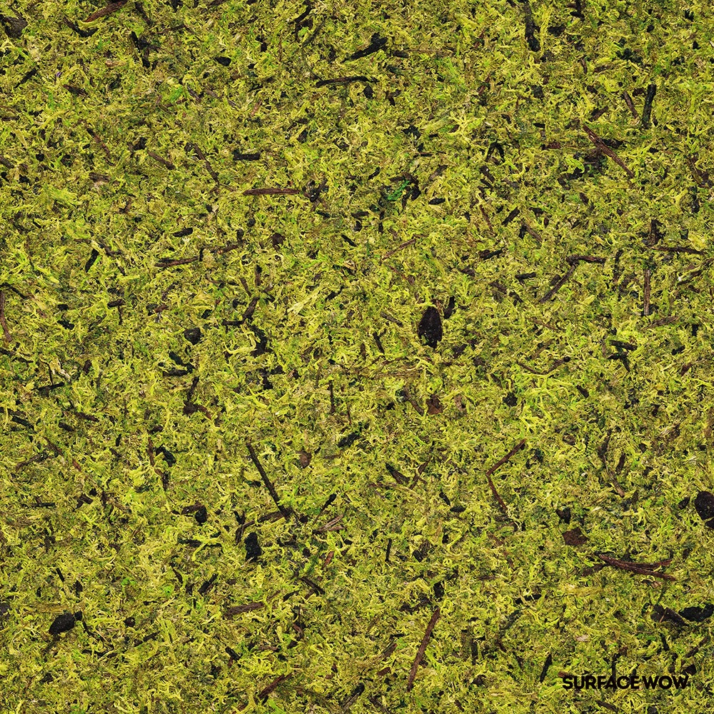 Moss Light Green Featured Image