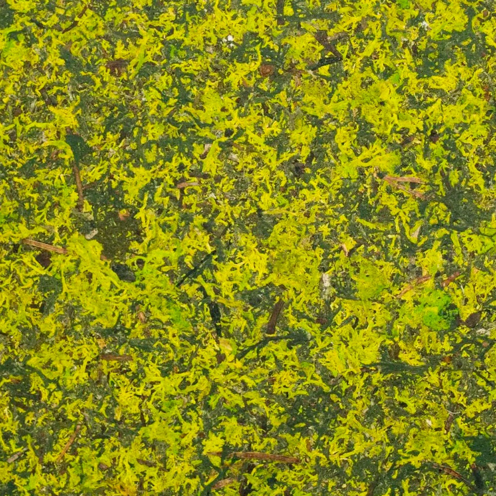 Moss Mix Featured Image