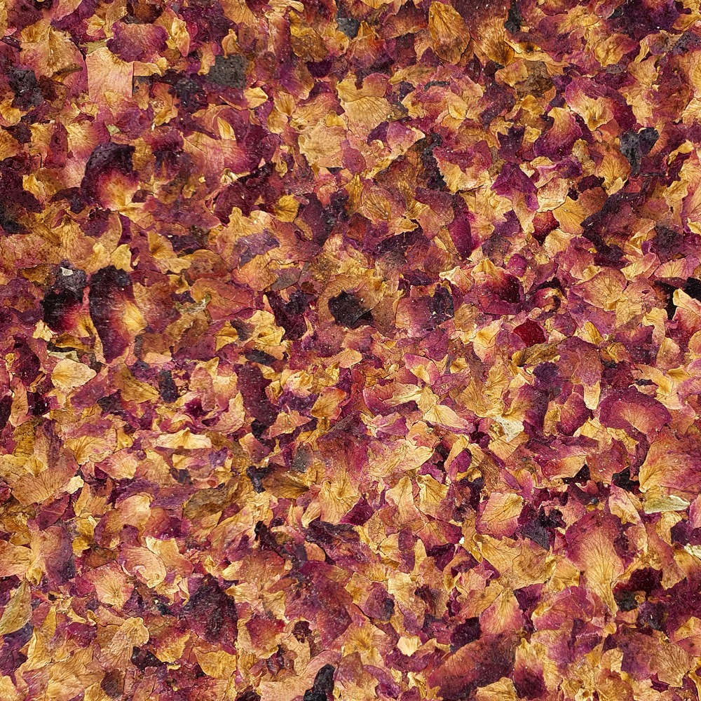 Rose Petals Featured Image